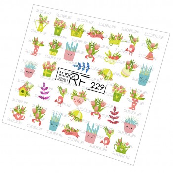 RF 229